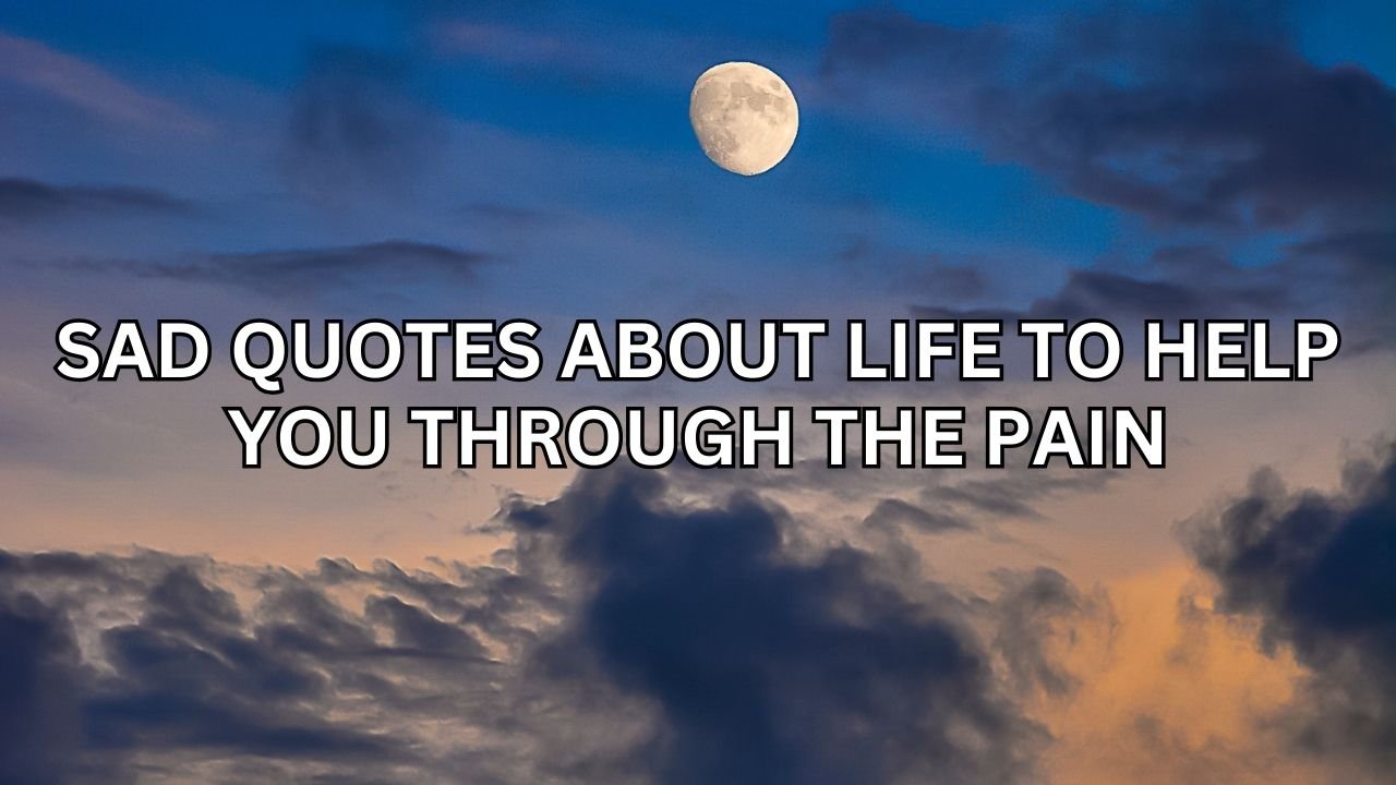 100+ Sad Quotes About Life to Help You Through The Pain